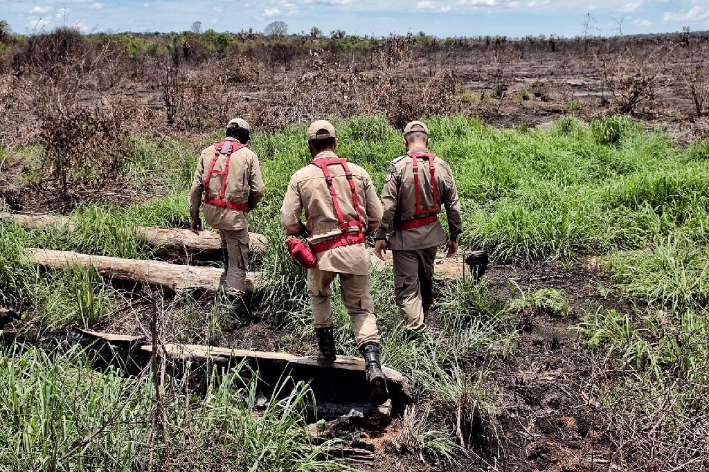 Operação Abafa Araguaia aplica R$ 5,7 milhões em multas