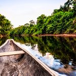 Itaú Unibanco e Mastercard lançam campanha para ajudar a reflorestar a Amazônia 8