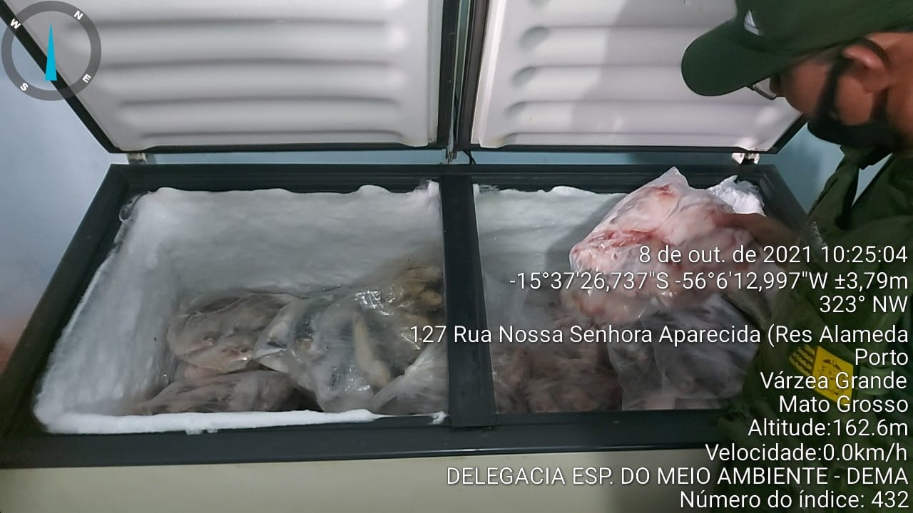 Polícia Civil e Sema apreendem quase 400 kg de pescado sem procedência em Várzea Grande