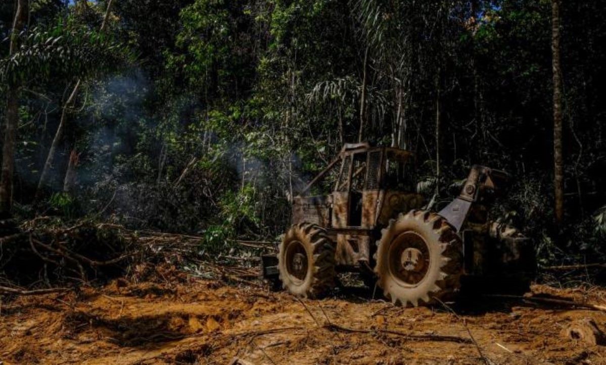 Mato Grosso tem 101 municípios ameaçados de calor extremo por desmatamento e mudanças climáticas