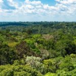 Há um ano, projeto remunera produtores rurais para não suprimirem florestas dentro de suas propriedades 4