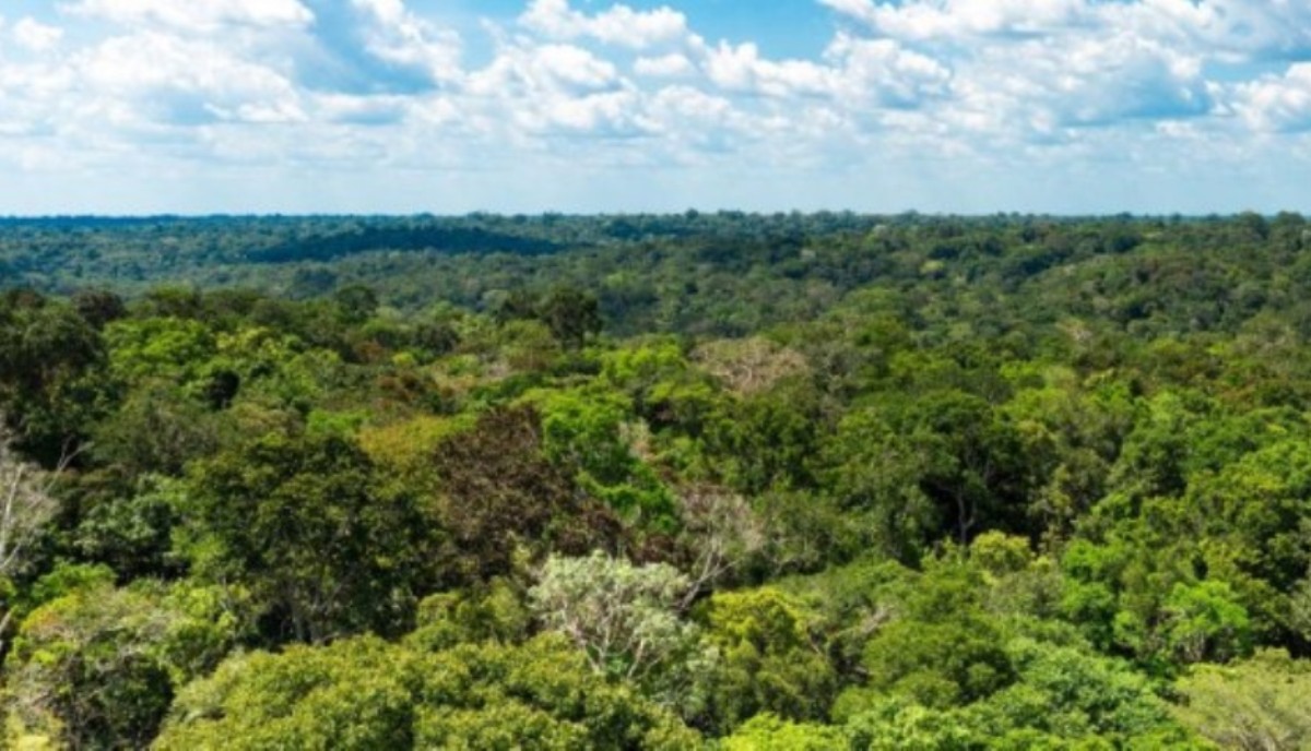 Há um ano, projeto remunera produtores rurais para não suprimirem florestas dentro de suas propriedades