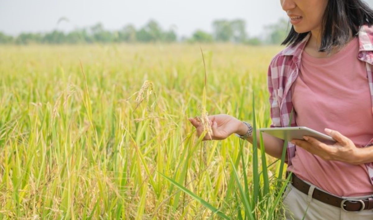 Gavilon do Brasil apoia o protagonismo das mulheres no agronegócio