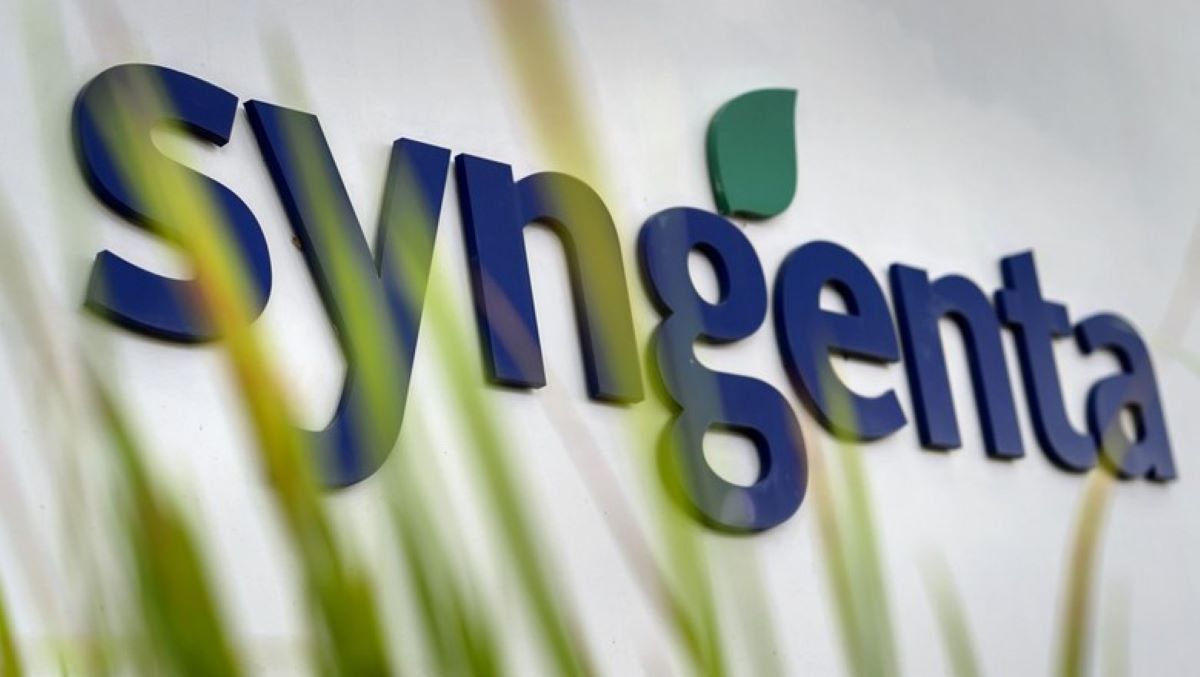 Syngenta Group oferece vagas de estágio para Mato Grosso