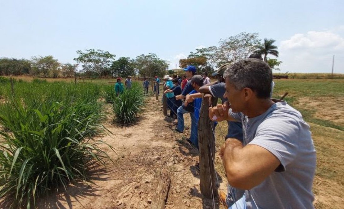 Rondonópolis | Senar-MT e Sindicato Rural promovem primeiro encontro de produtores de gado de leite