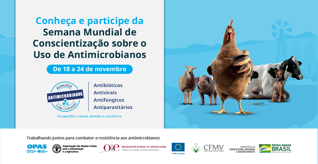 Brasil avança em ações para uso racional de antimicrobianos