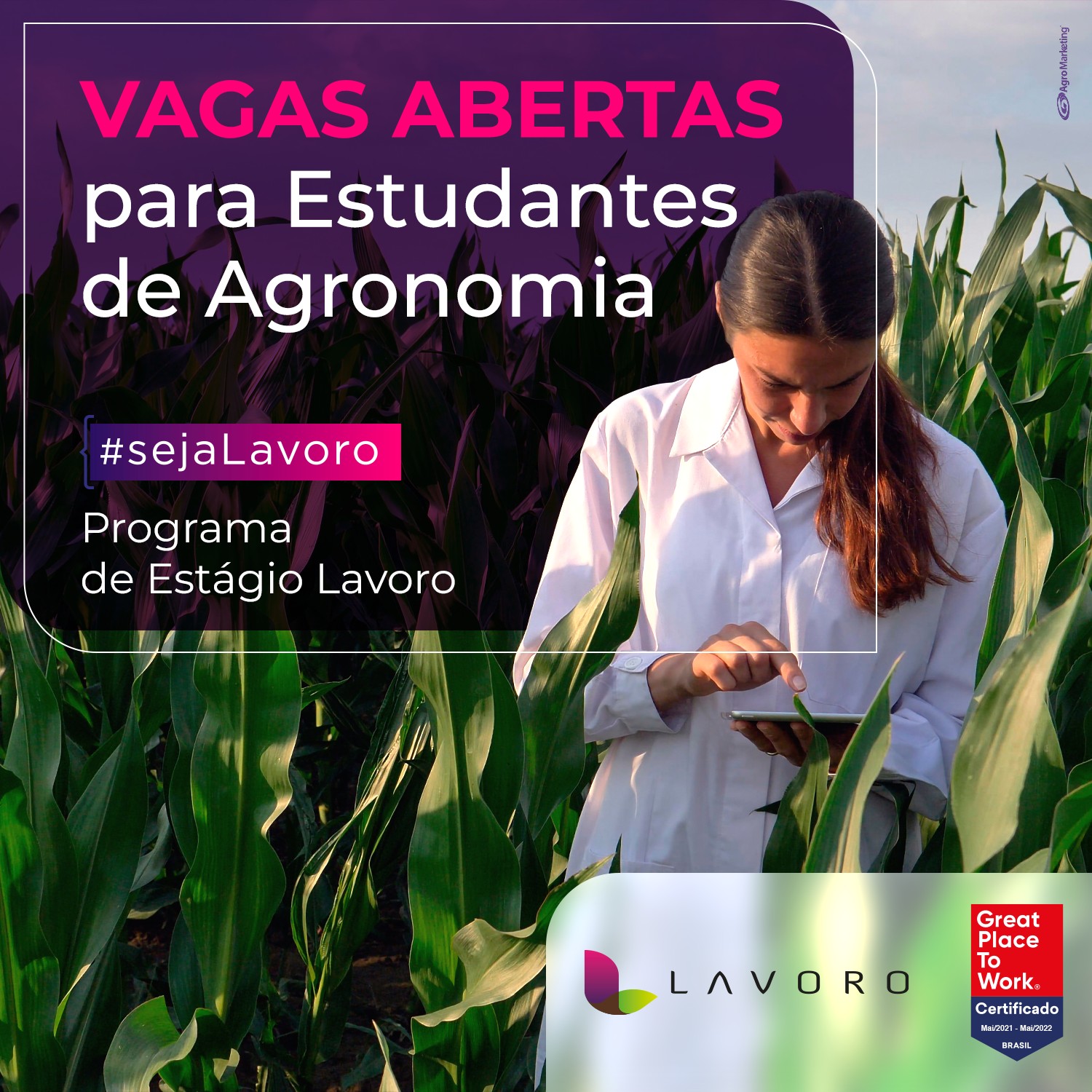 Lavoro Agro oferece oportunidades de estágio para o Mato Grosso