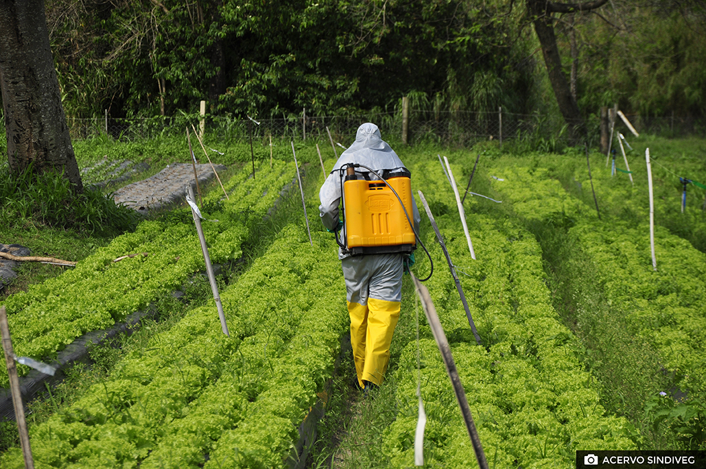 Sindiveg e Senar firmam parceria para oferecer treinamento gratuito sobre defensivos a agricultores