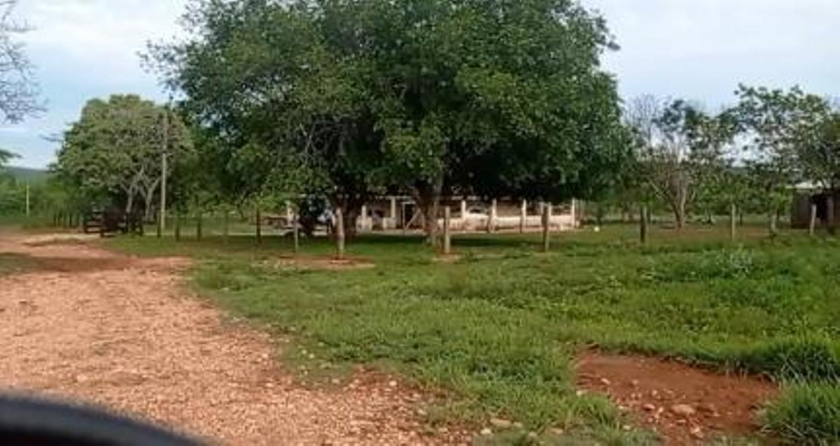 Médico veterinário é assassinado durante discussão em fazenda de Diamantino