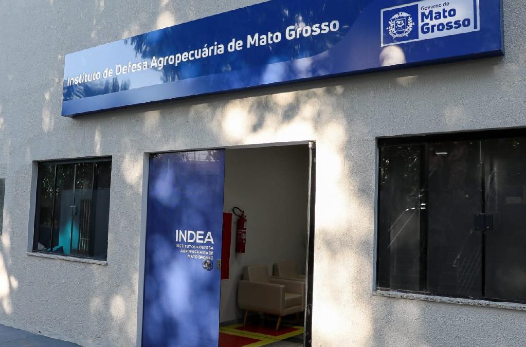 Indea define ações fiscalizatórias para agrotóxicos, sementes e pragas