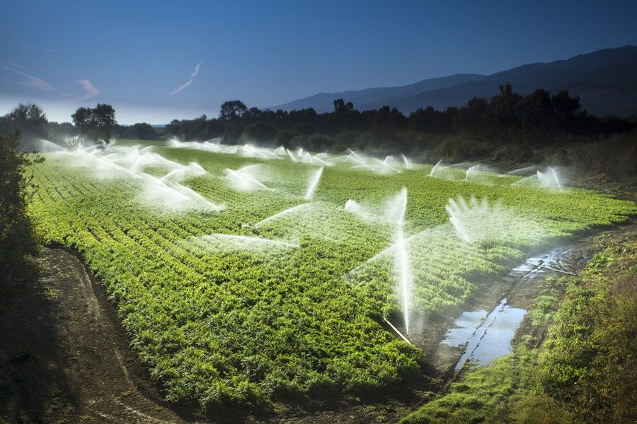 Longa estiagem requer da agricultura melhor distribuição de água