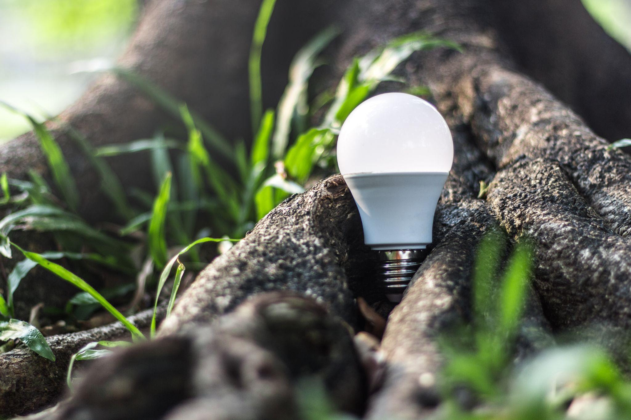Economia: iluminação de LED diminui os custos de energia elétrica em até 32% do valor total da fatura