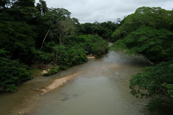 Pai pula em rio para salvar o filho e morre afogado em Cuiabá