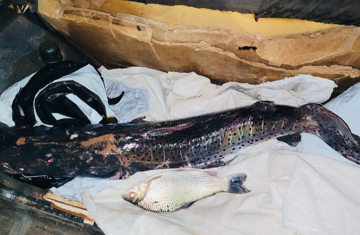 Dois são detidos em Itiquira por pesca ilegal durante a Piracema