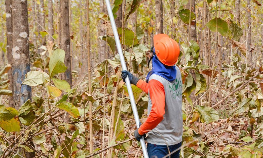 Número de reeducandos e egressos inseridos no mercado de trabalho dobra em Mato Grosso