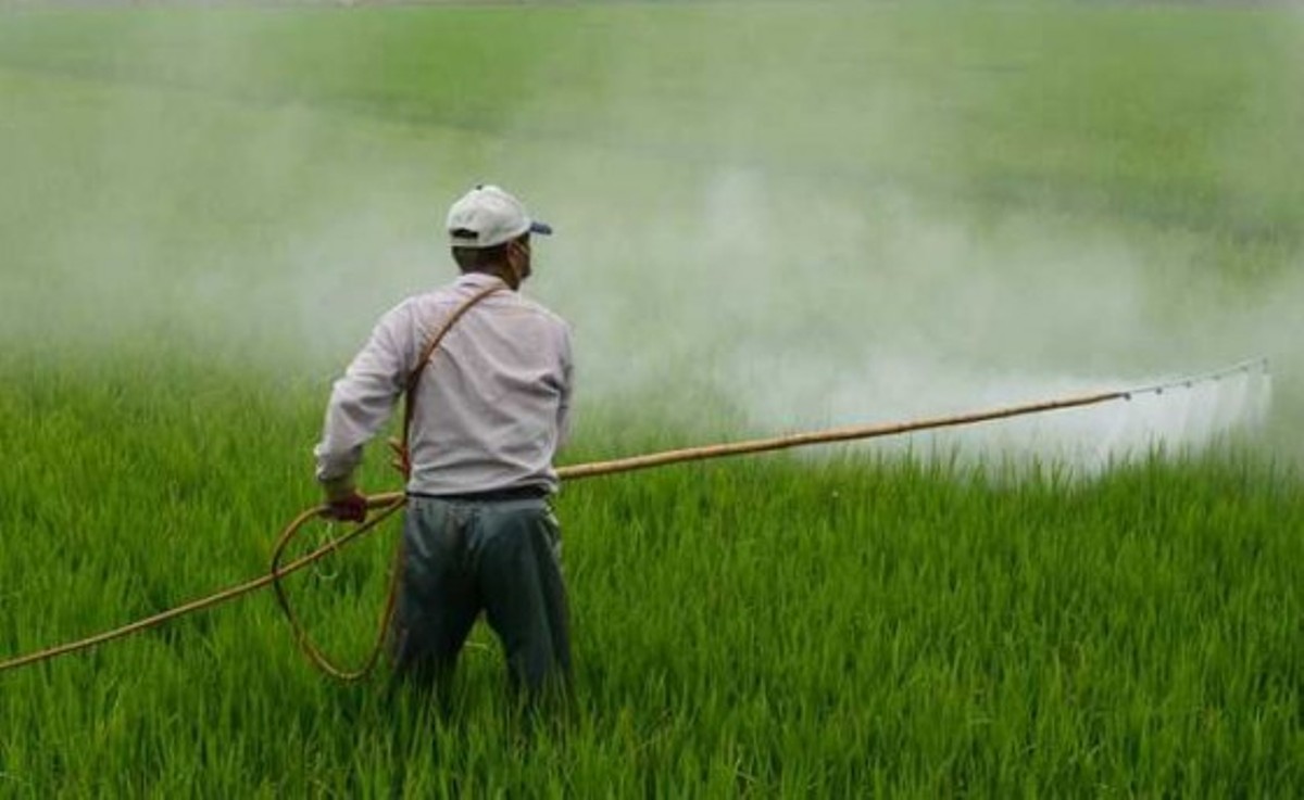 Produtor é acionado pelo MPT-MT na Justiça do Trabalho após descumprir acordo e medidas de segurança para utilização de agrotóxicos