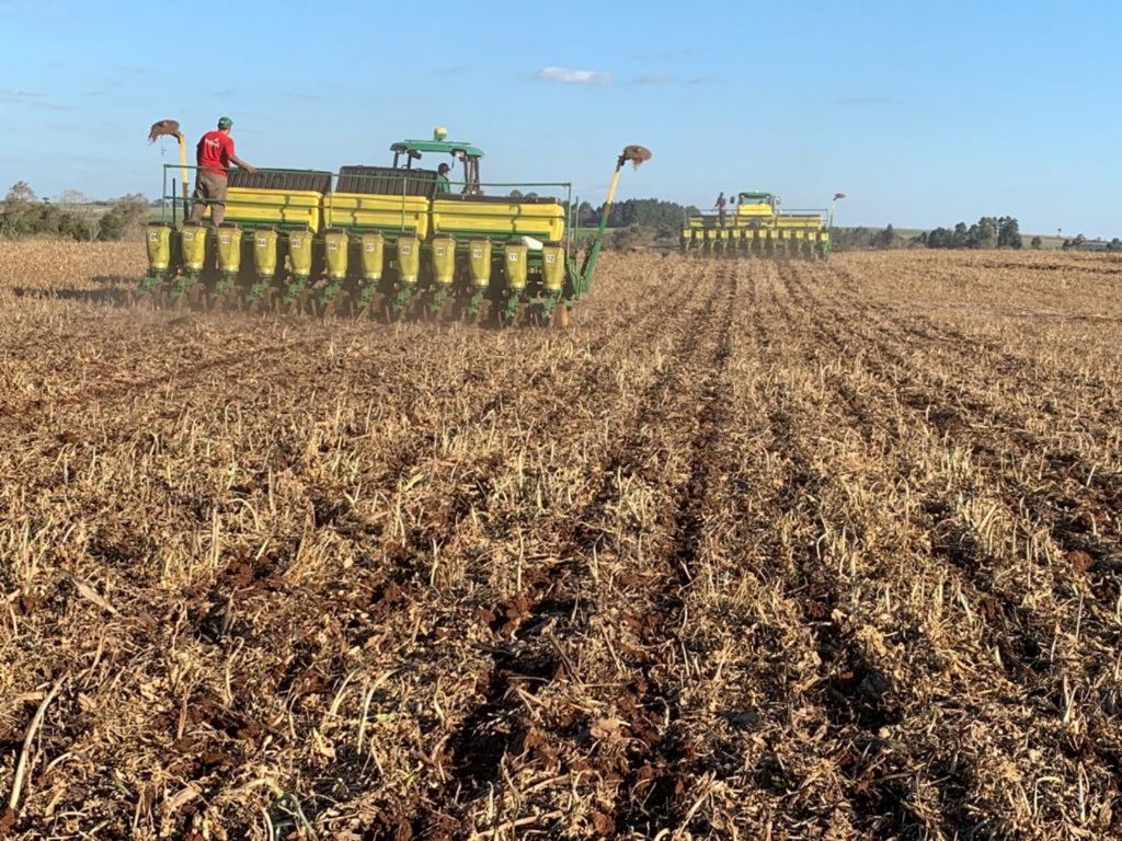 Chuvas causam prejuízos a produtores no Araguaia