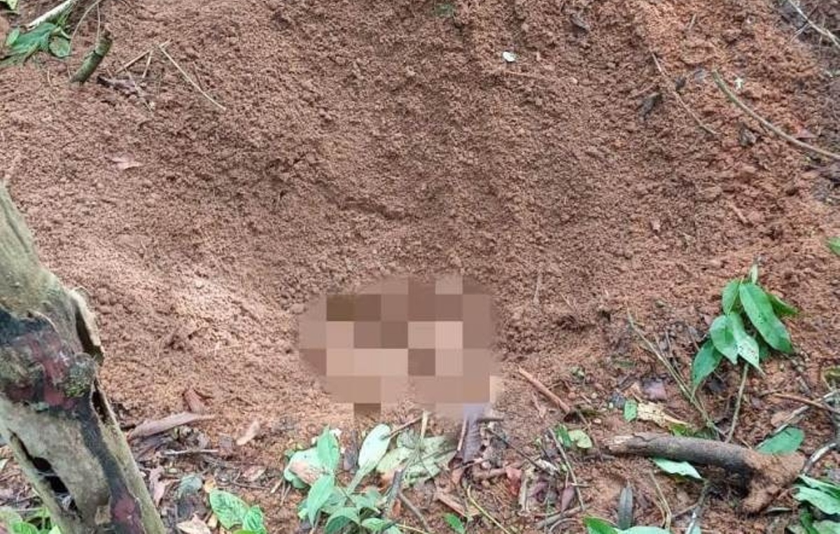 Corpo de jovem é encontrado enterrado em mata em Lucas do Rio Verde