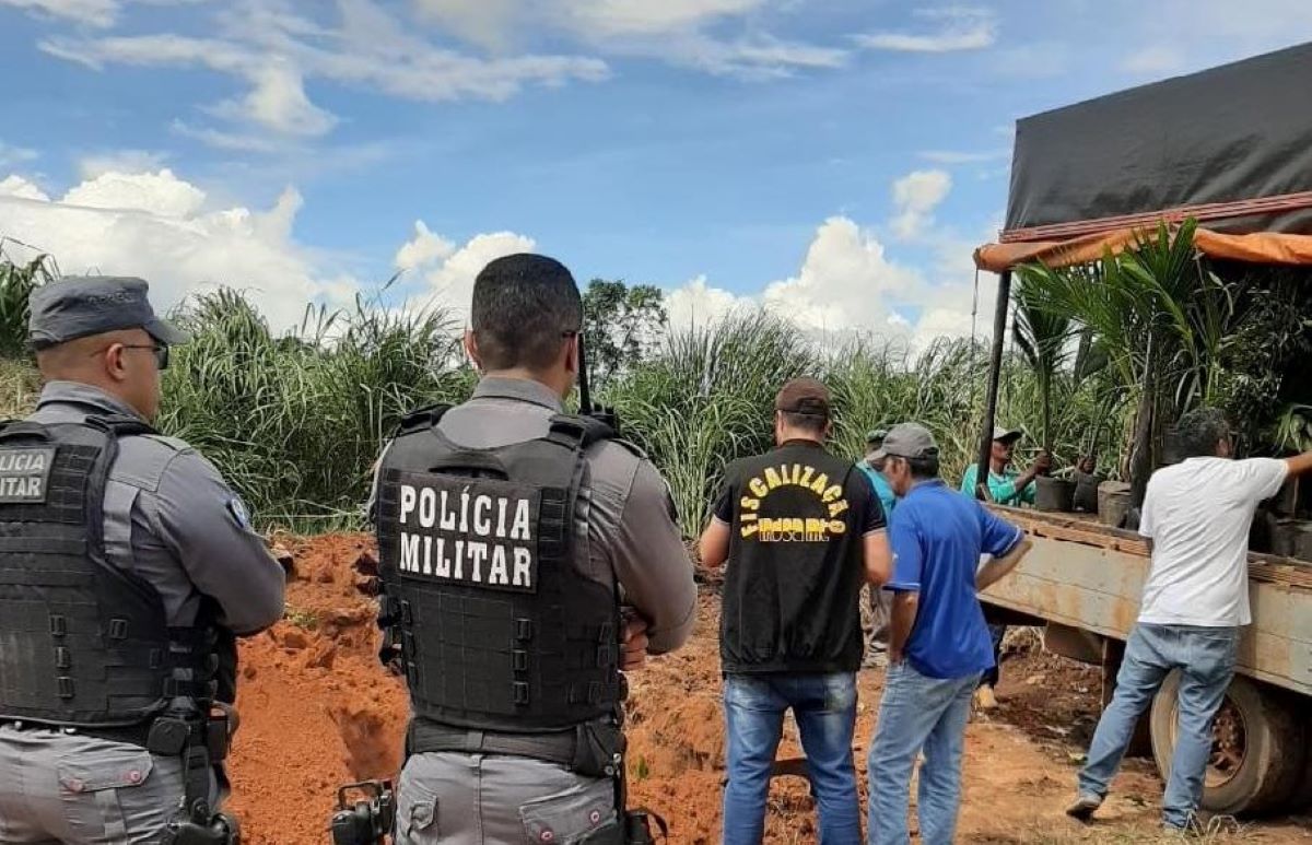 Indea alerta que venda ambulante de mudas e sementes ameaça a agricultura de Mato Grosso