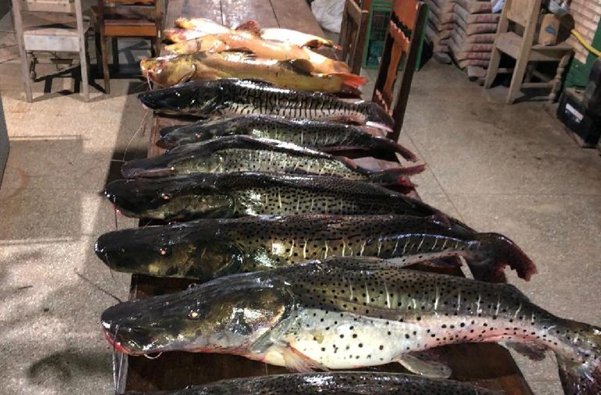Batalhão Ambiental e Juvam apreendem 98 quilos de pescado ilegal no Rio Paraguai