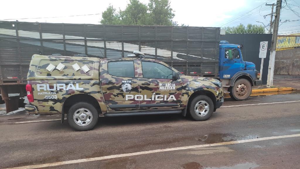 Rondonópolis | Patrulha Rural recupera 38 cabeças de gado furtadas de fazenda e prende dois homens