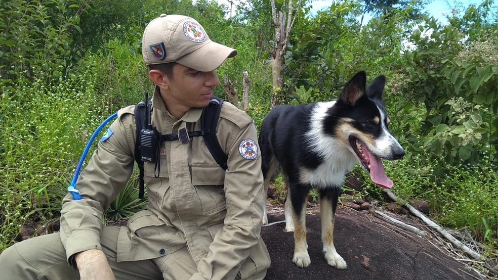 Cão Luke viaja para Petrópolis com bombeiros de Mato Grosso para ajudar nas buscas por desaparecidos