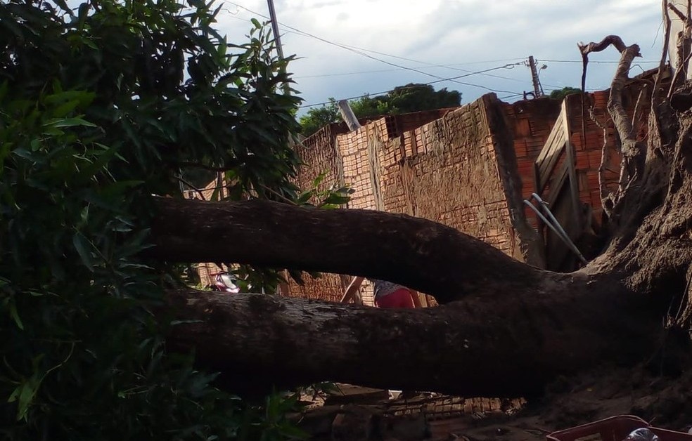 Chuva forte deixa mais de 10 mil casas sem energia elétrica em Cuiabá