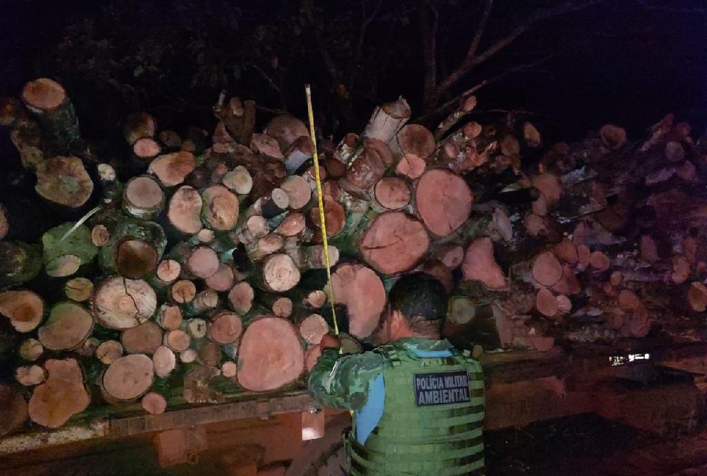 Mato Grosso | Batalhão Ambiental prende homem por extração e transporte ilegal de madeira