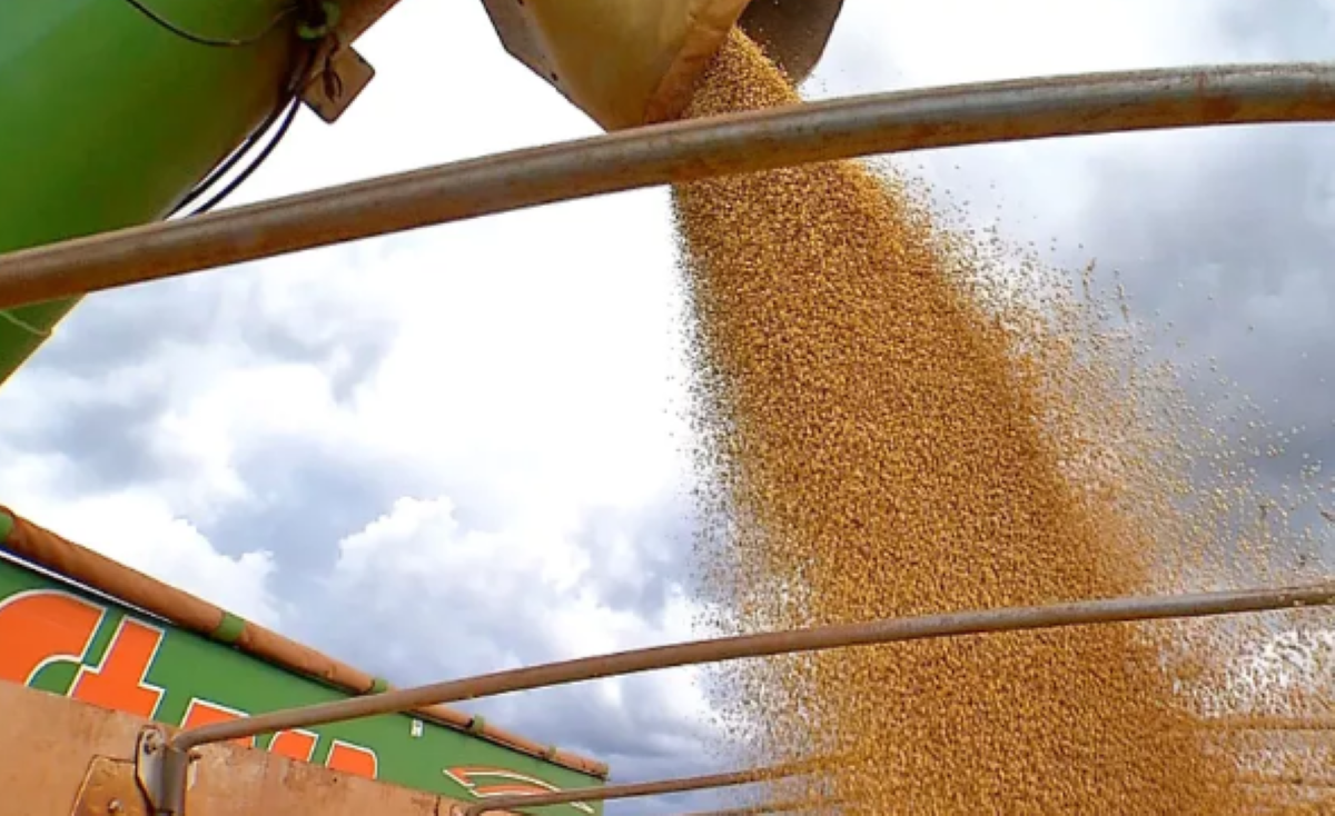 Produtores de Mato Grosso já sentem o aumento no custo da produção devido à guerra na Ucrânia e da estiagem