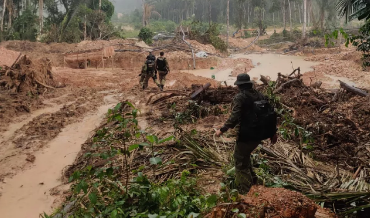Mato Grosso | Operação da PF que prendeu servidor da Funai e cacique por garimpos ilegais em terras indígenas é concluída