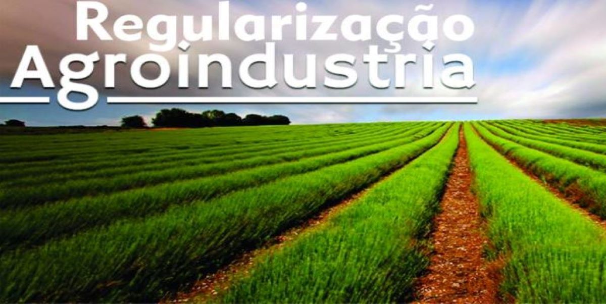 Produtores do Mato Grosso podem acessar website que simplifica regras para regularização de agroindústrias