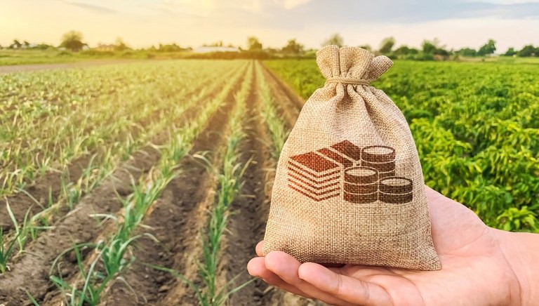 Contratações do crédito rural somam R$ 209 bilhões em nove meses