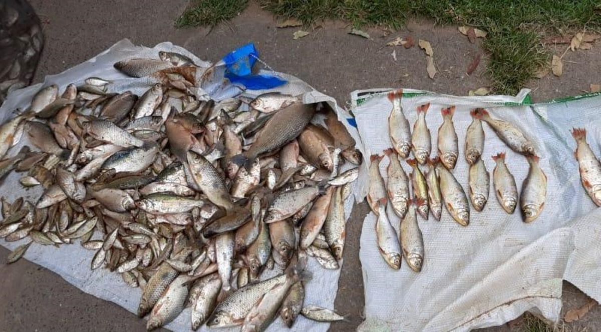 Cuiabá | Três pessoas são presas por pesca ilegal