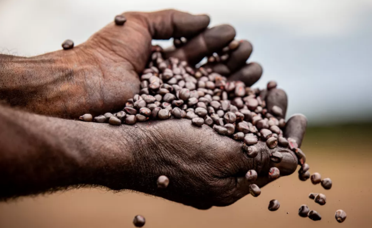 Nova ‘lista suja’ do trabalho escravo tem dois empregadores de Mato Grosso