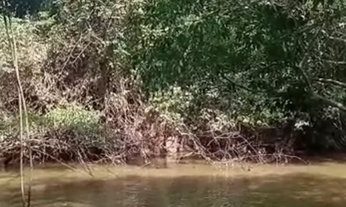 Nova Mutum | Jovem de 22 anos sobe em árvore, dá salto em rio e morre afogado