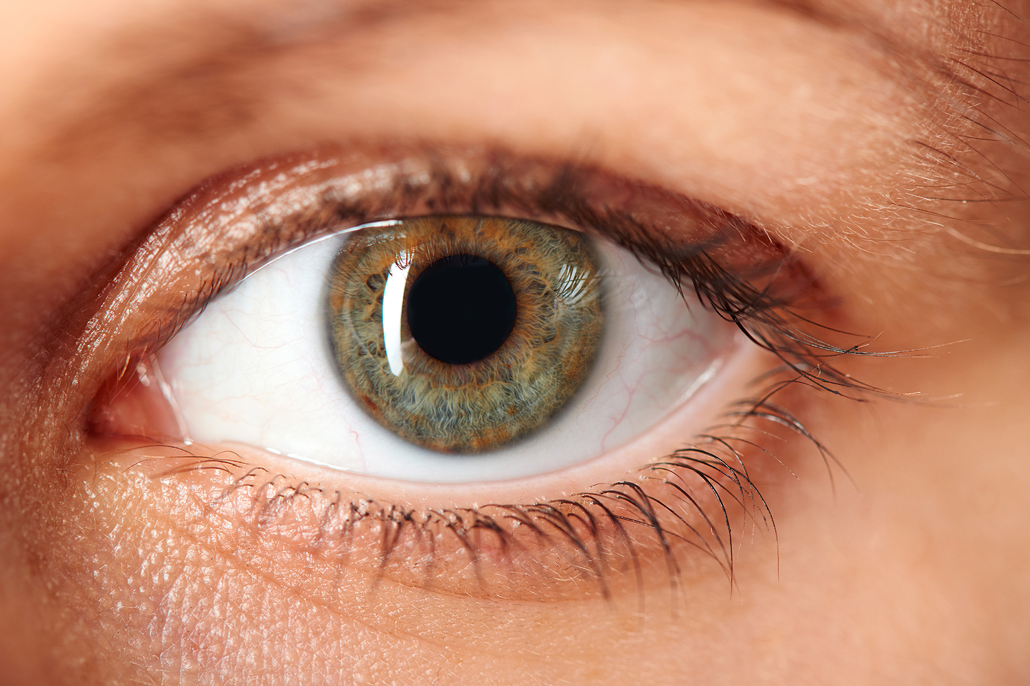 Conheça os principais cuidados para a saúde dos olhos