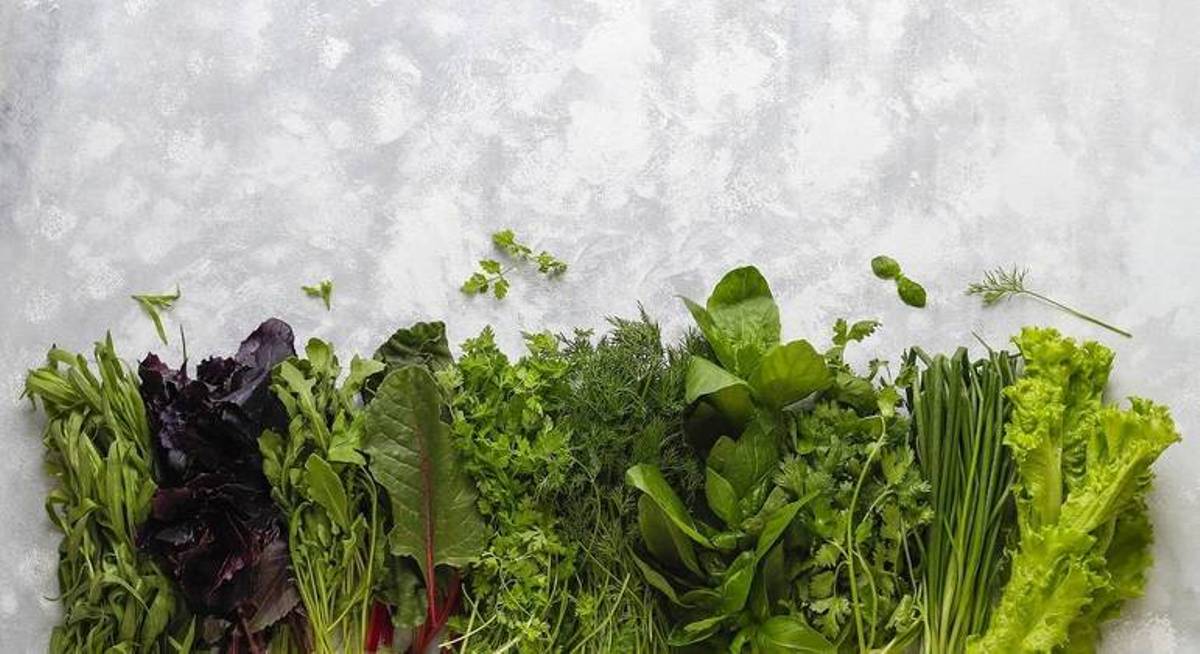 Cientistas encontram evidências de que vitamina K pode ter efeito protetor contra demência