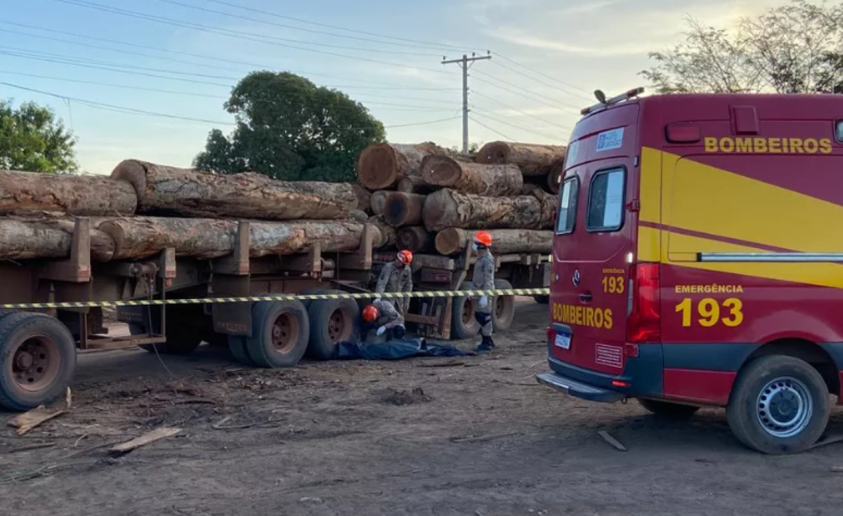 Sinop | Trabalhador morre ao ser atingido por tora de madeira