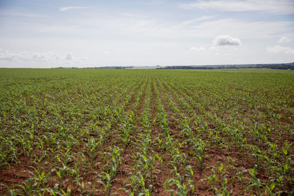 FCO oferta R$ 546,8 milhões em linhas de crédito para empresários e produtores rurais de MT