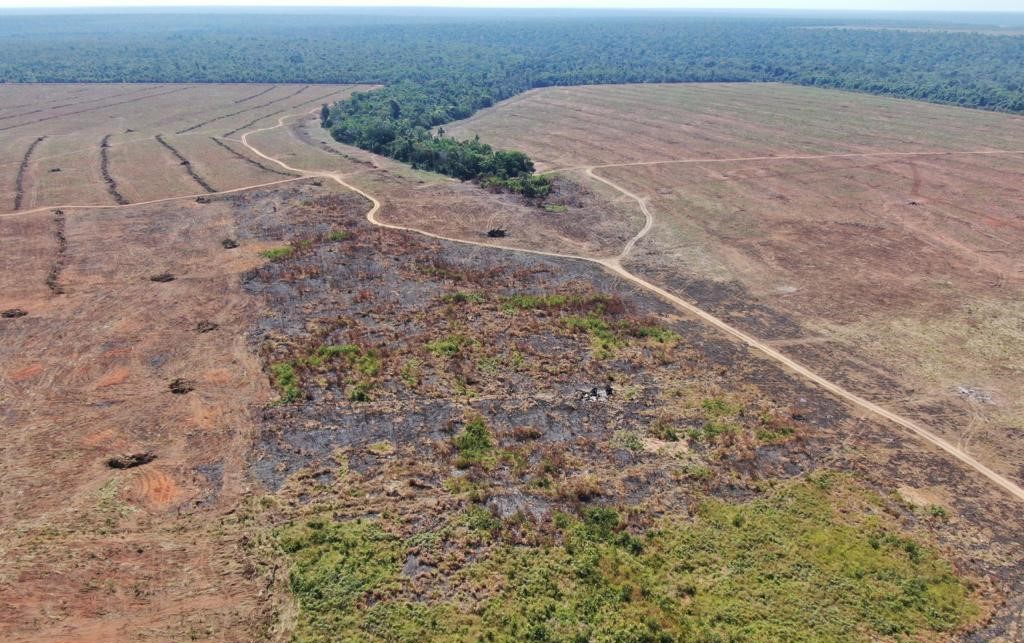 Operação ambiental multa fazenda em R$ 2 milhões por reincidência no desmate ilegal e uso do fogo