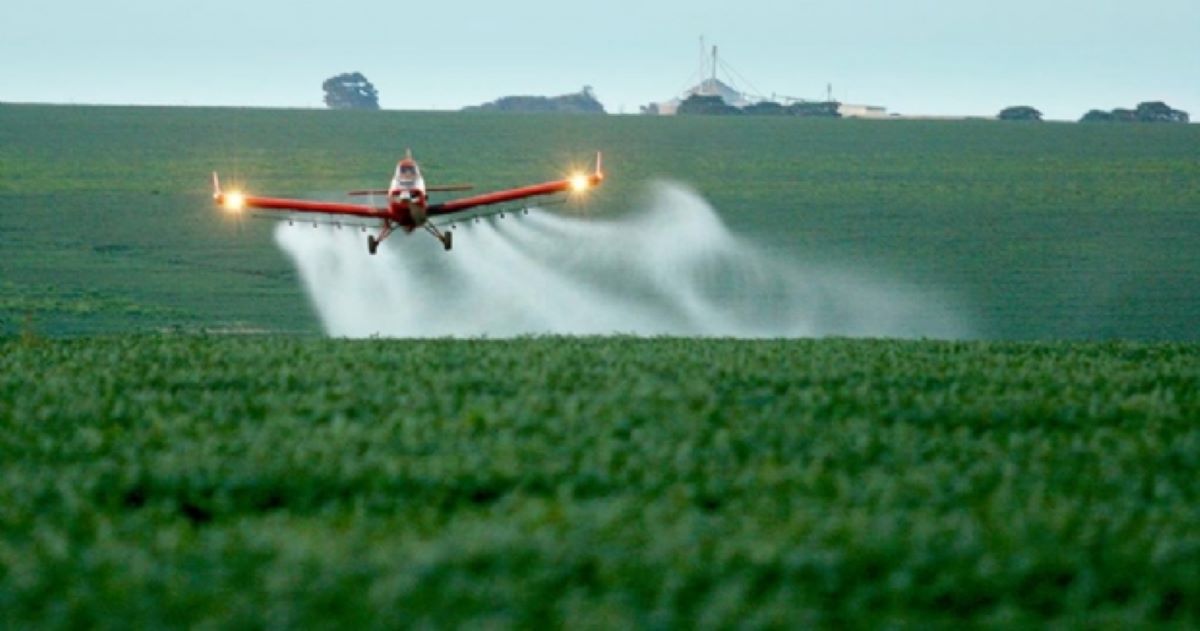 Indea tem 15 dias para fornecer informações sobre comercialização de agrotóxicos em Mato Grosso