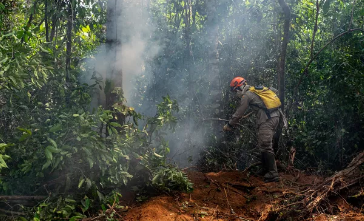 Período proibitivo do fogo começa em 1º de julho em Mato Grosso