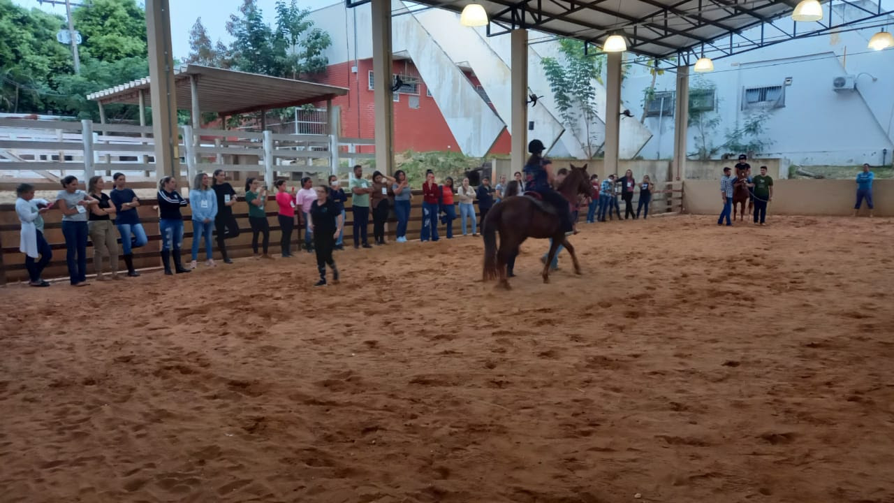 Equoterapia do Senar-MT aumenta 60% dos atendimentos em três anos