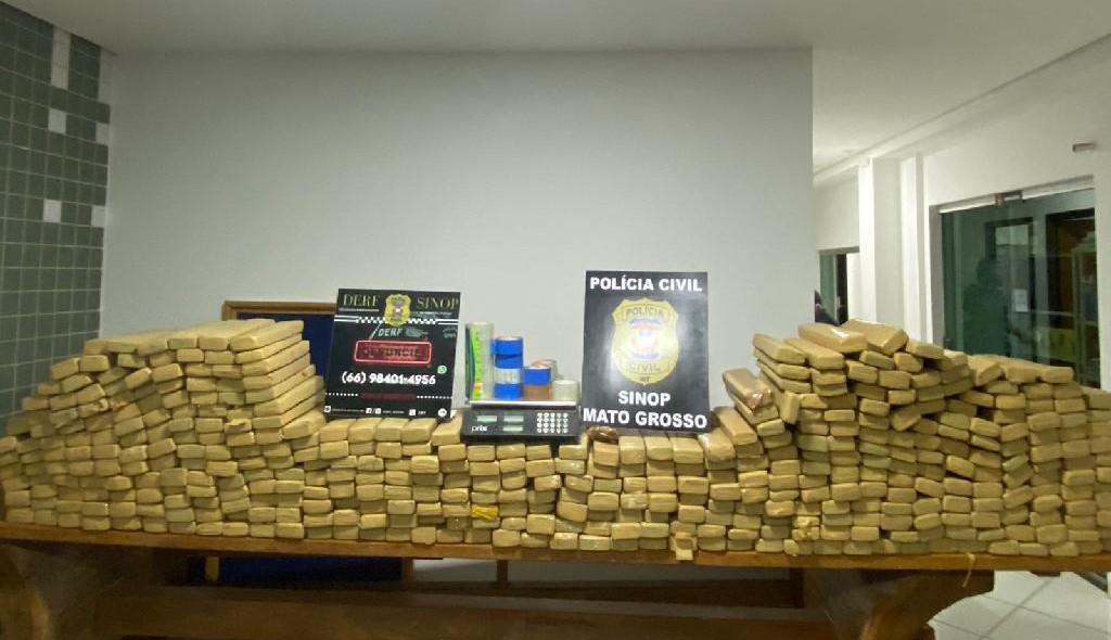 Sinop | Polícia Civil apreende 400 quilos de maconha enterrados em casa na zona rural