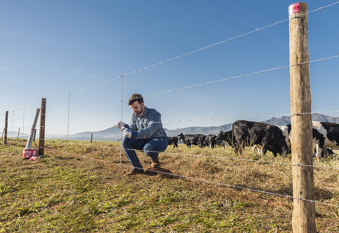 Belgo Bekaert lança curso de formação de cerqueiros on-line, gratuito e com certificado