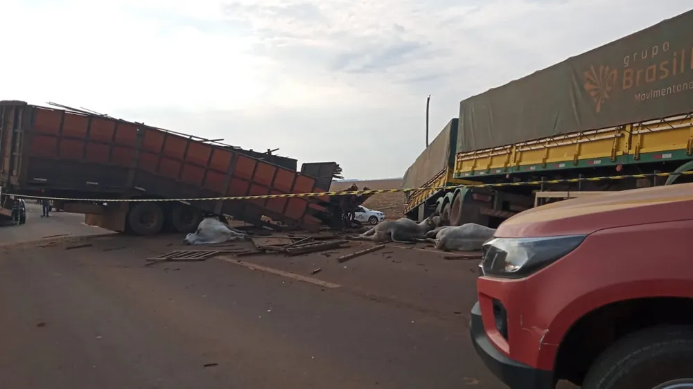 Sinop | Caminhoneiro morre e outro fica ferido em grave acidente na MT-220