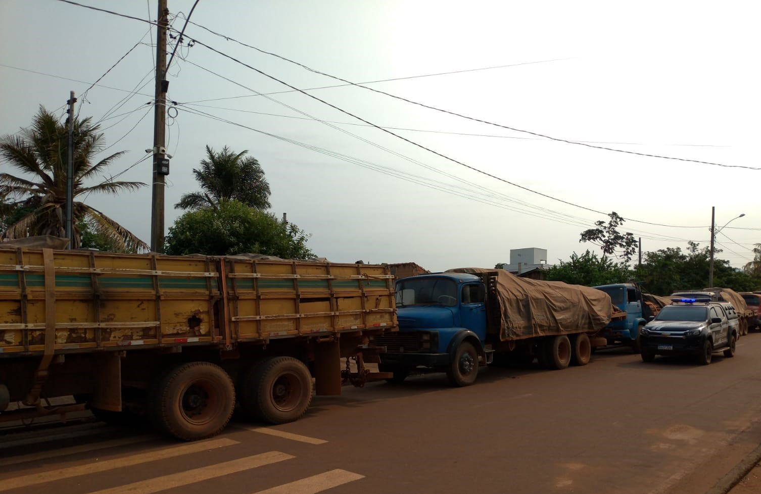 Polícia Civil apreende cinco caminhões com madeira irregular em estrada de Vila Bela da Santíssima Trindade