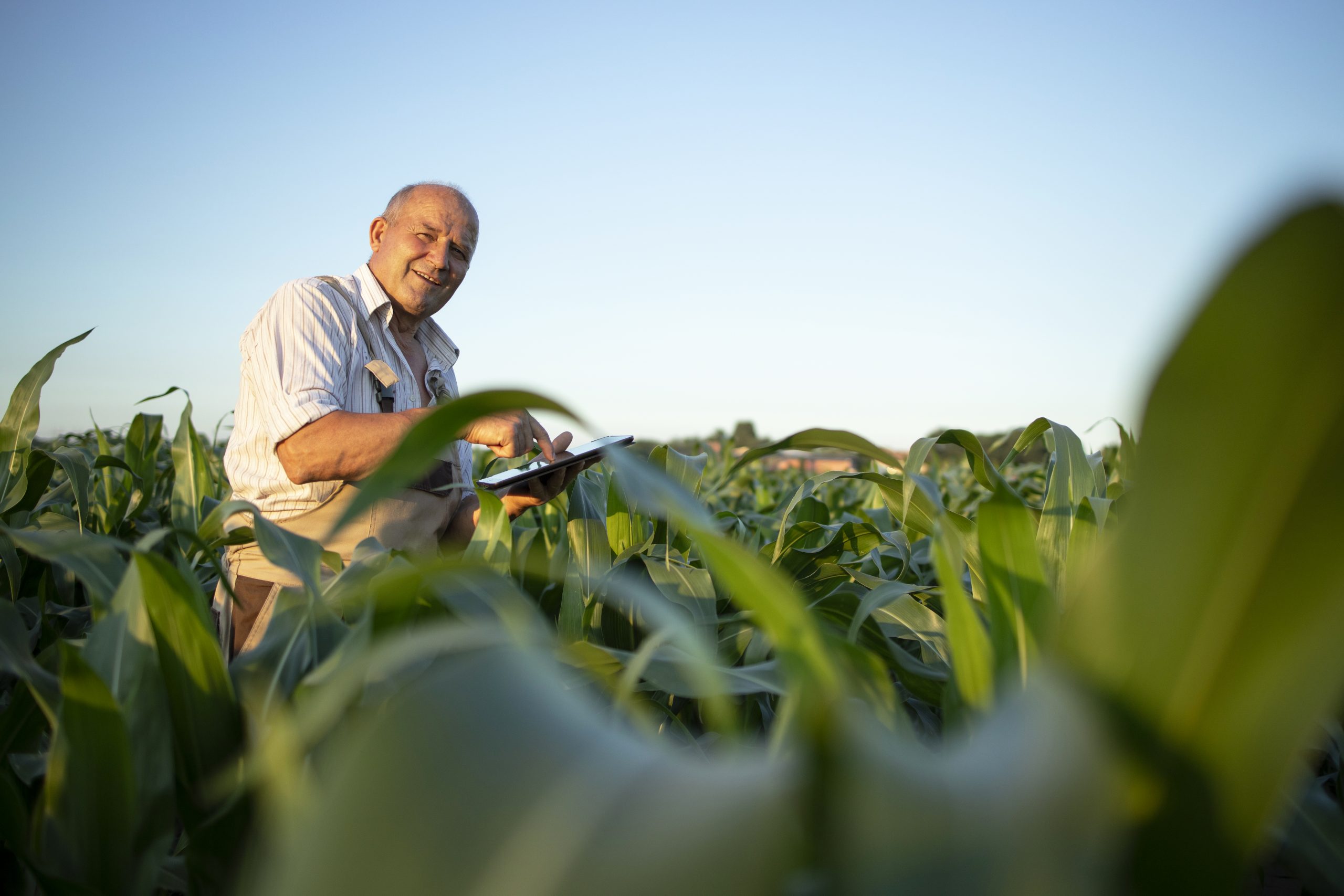 Agricultores já contam com perfil personalizado na plataforma gov.br