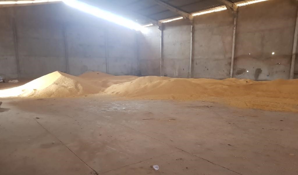 PM recupera 50 toneladas de carga de milho e prende suspeito em Pedra Preta