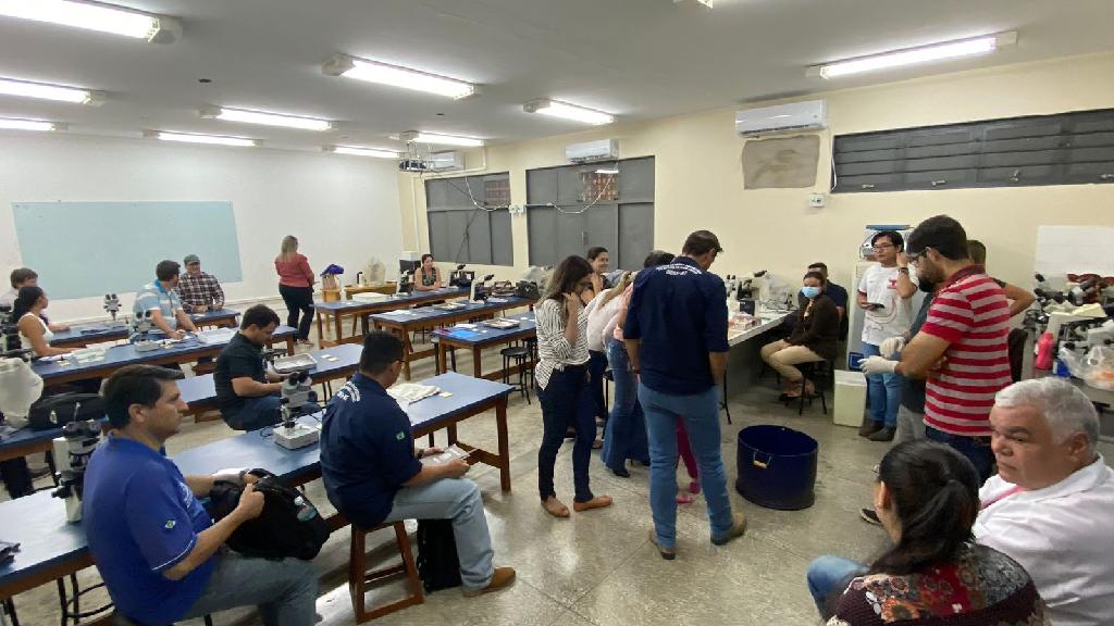 Indea alerta piscicultores a comunicarem ocorrências de mortandade de peixes